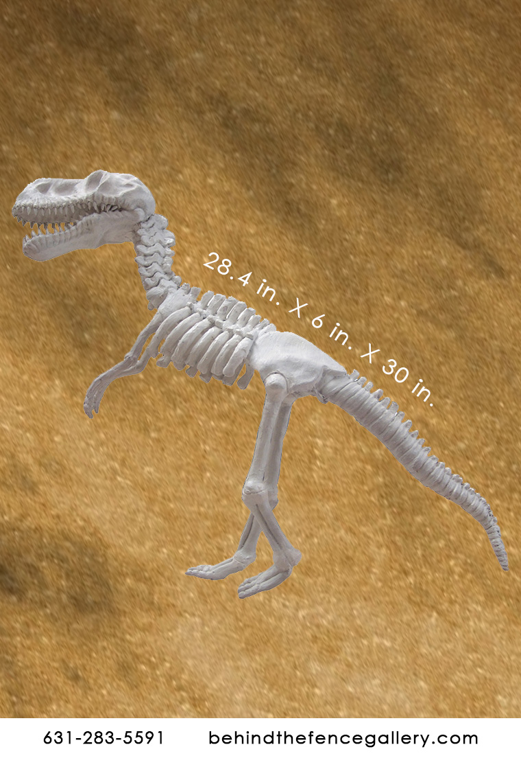 Dino Skeleton Statue Dino Skeleton Statue