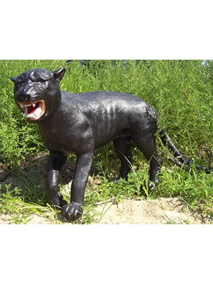 Black Panther Black Panther