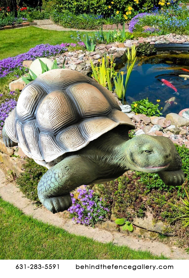 Box Turtle Statue Box Turtle Statue