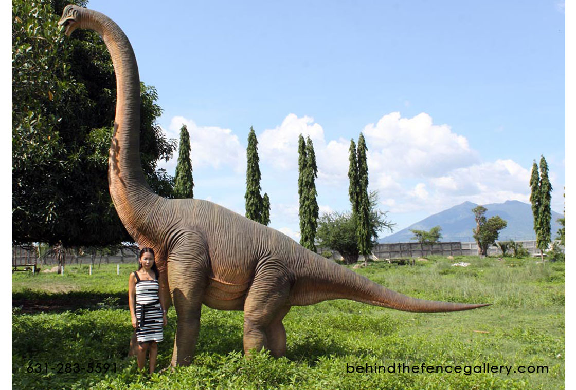 Brachiosaurus 15.5 Ft. Life Size Dinosaur Prop Fiberglass Statue Brachiosaurus 15.5 Ft. Life Size Dinosaur Prop Fiberglass Statue