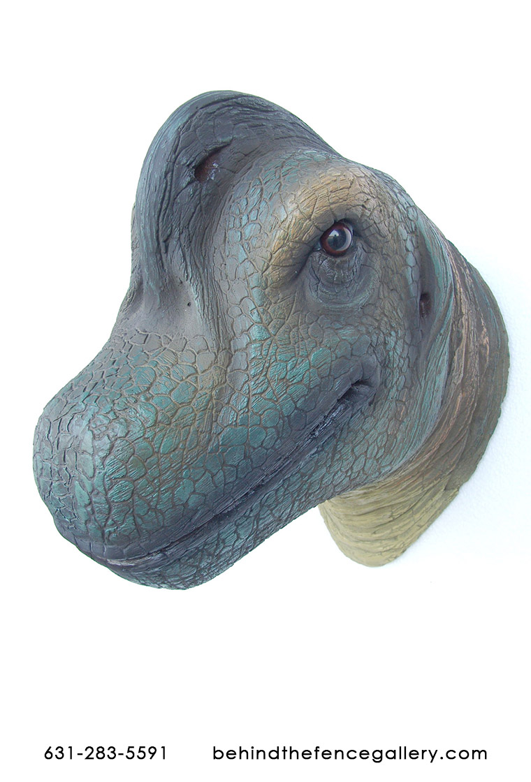 Brachiosaurus Head Wall Mount Brachiosaurus Head Wall Mount