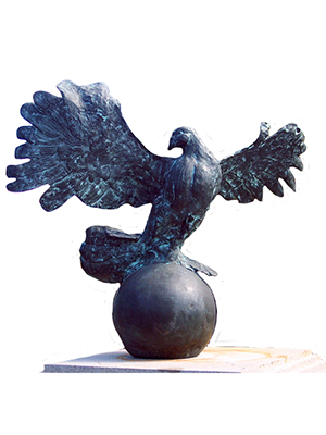 Bronze Dove Bronze Dove