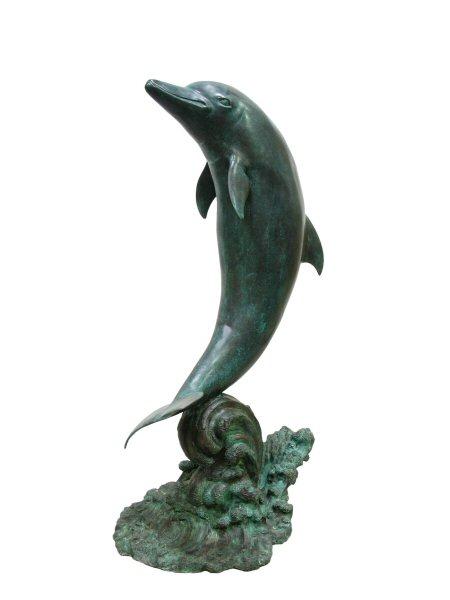 Single Dolphin on Wave Single Dolphin on Wave