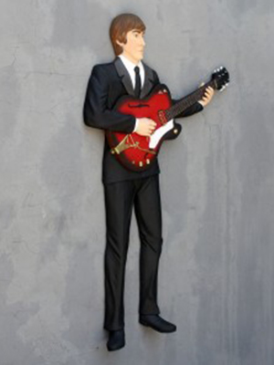 Combo Acoustic Guitarist Combo Acoustic Guitarist