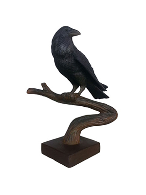 Raven (Looking Back) Raven (Looking Back)