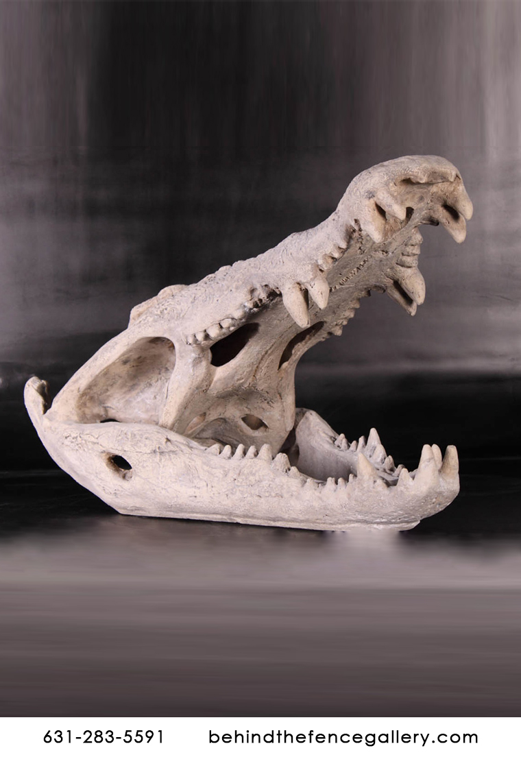 Crocodile Skull Sculpture Crocodile Skull Sculpture