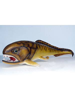 Dunkleosteus Dunkleosteus