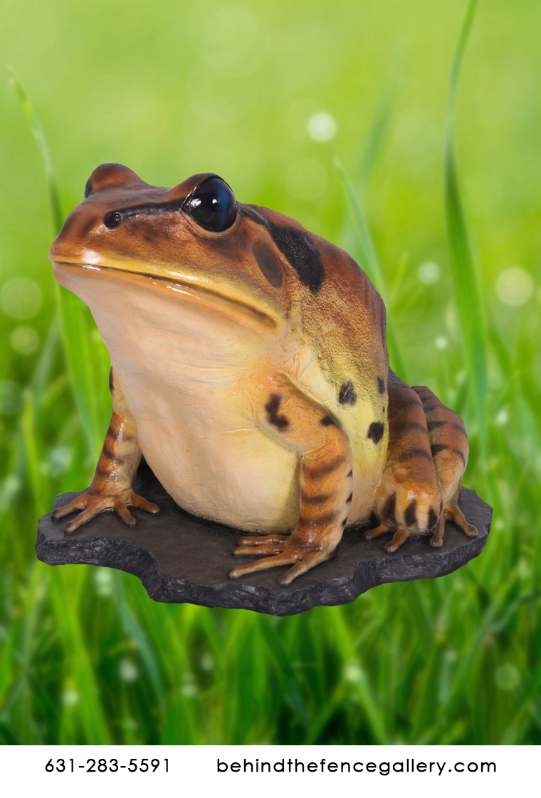 Great Barred Frog Statue Great Barred Frog Statue