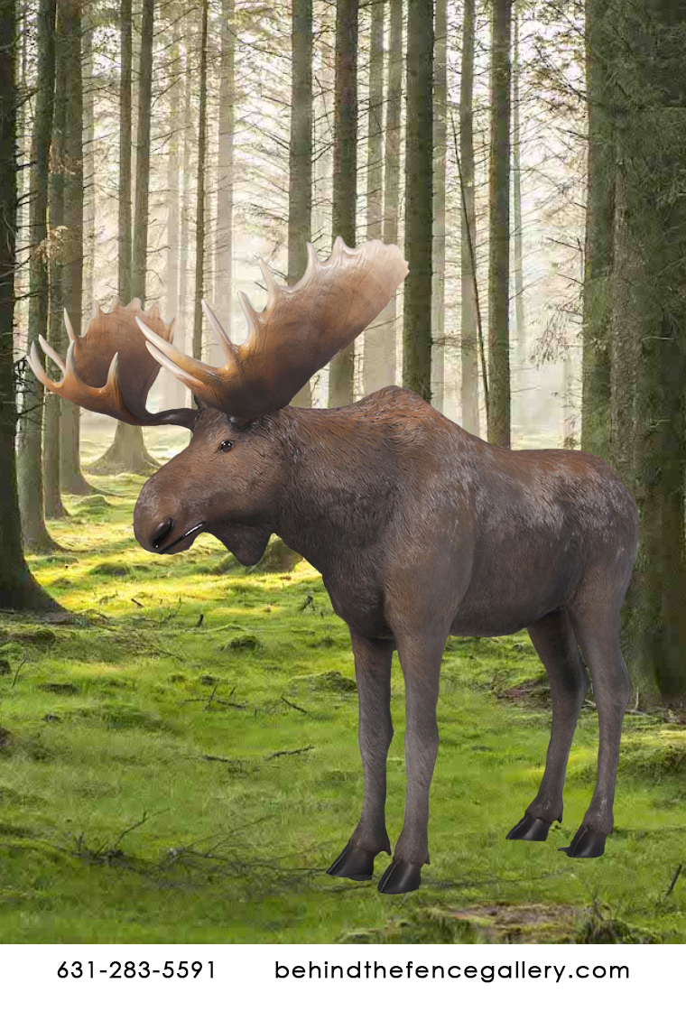 Life Size Moose Statue Life Size Moose Statue