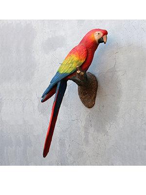 Parrot on Tree Branch Parrot on Tree Branch