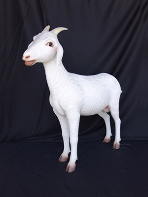 Goat Goat