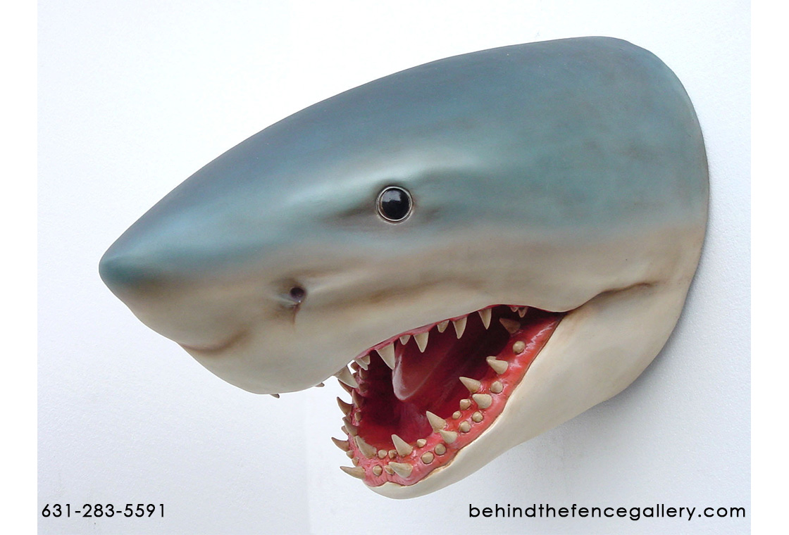 Great White Shark Head Wall Mount Display Great White Shark Head Wall Mount Display