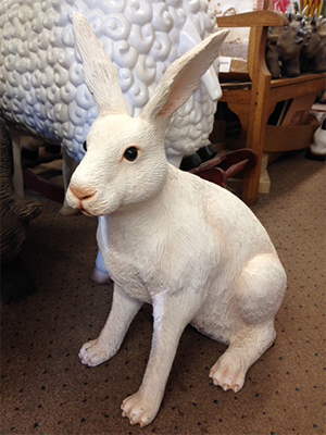 Hare Hare