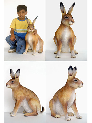 Hare Hare