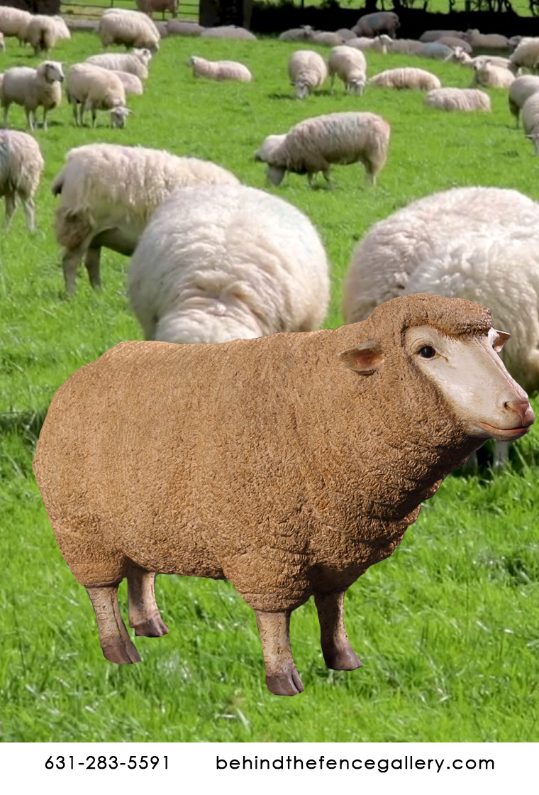 Sheep Statue Merino Ewe Head-up Sheep Statue Merino Ewe Head-up