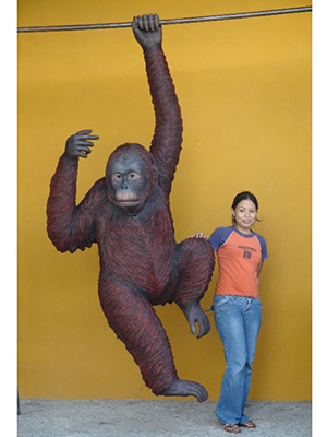 Life Size Safari Party Prop Fiberglass Orangutan Hanging Life Size Safari Party Prop Fiberglass Orangutan Hanging