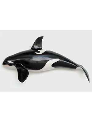 Orca Whale Wall Decor Orca Whale Wall Decor