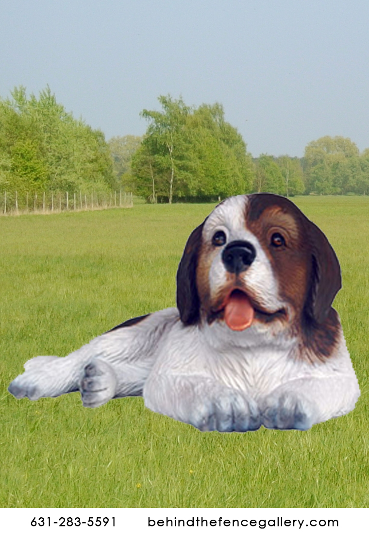 Saint Bernard Dog Puppy 2 Saint Bernard Dog Puppy 2