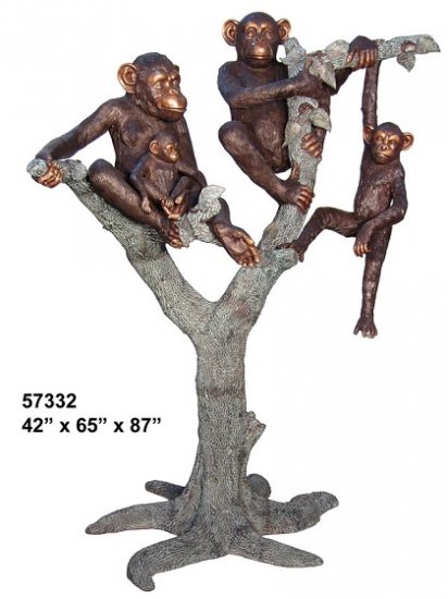 Monkey Family Monkey Family