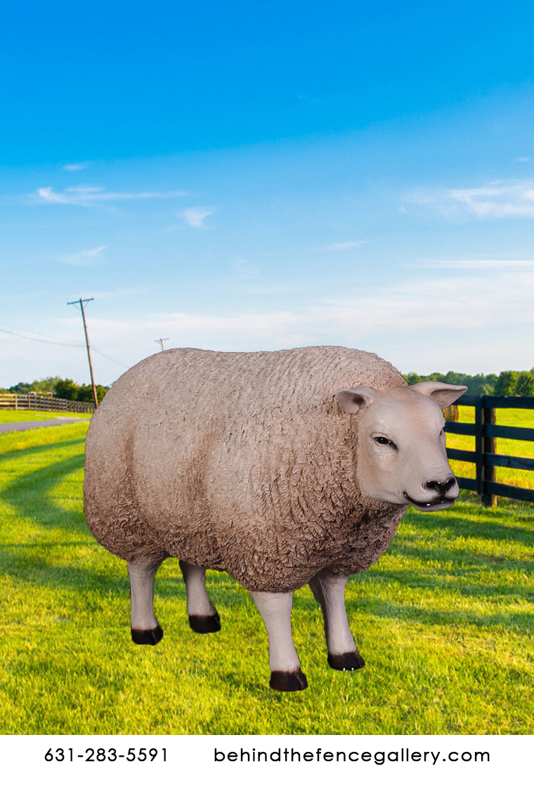 Sheep Statue Texelaar Ewe with Head Up Garden Sculpture Sheep Statue Texelaar Ewe with Head Up Garden Sculpture