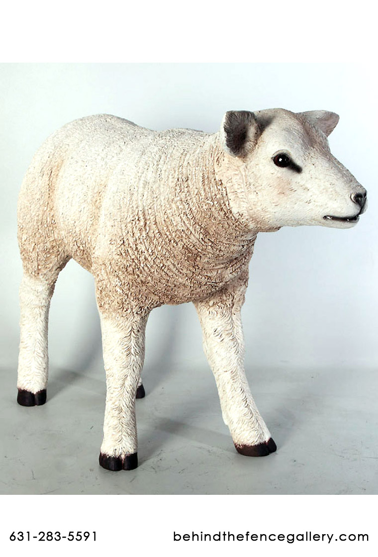 Lamb Statue White Texelaar Sheep Lamb Statue White Texelaar Sheep