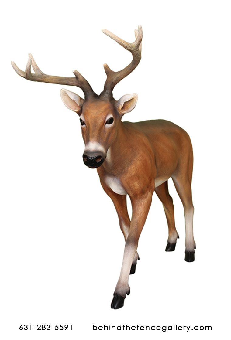 Young Deer Statue Young Deer Statue